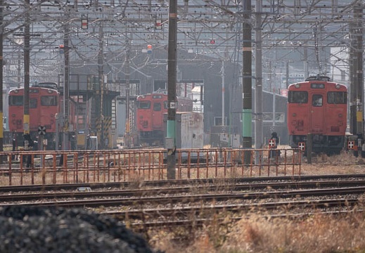 202301011235-DSC06908.jpg