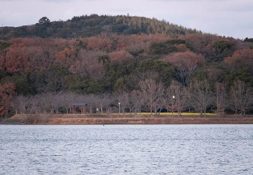 202301021717-DSC07142.jpg