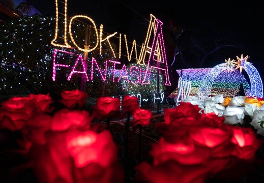 202301021751-DSC07185.jpg