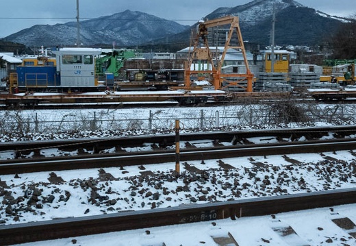 202301250720-DSC01596.jpg
