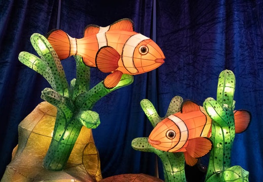 202301301141-DSC07483.jpg