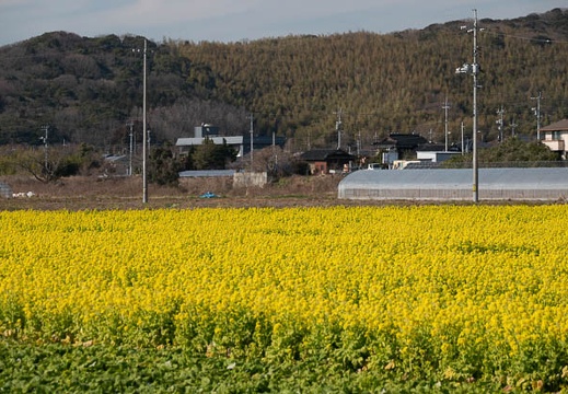 202302051401-DSC08465.jpg