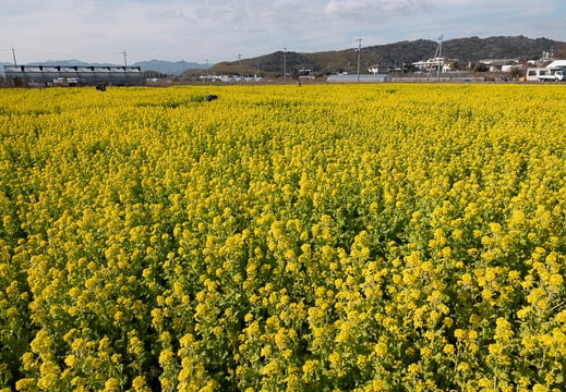 202302051407-DSC08488.jpg
