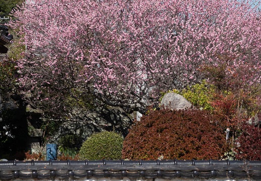 02.26 東行庵