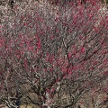 202302261445-DSC09036.jpg