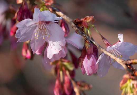 202302261601-DSC09135.jpg