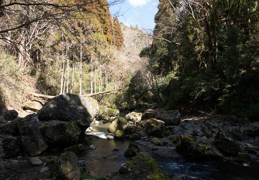 202303021254-DSC09282.jpg