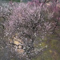 202303021621-DSC09488.jpg