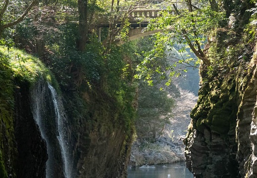 202303031036-DSC09702.jpg