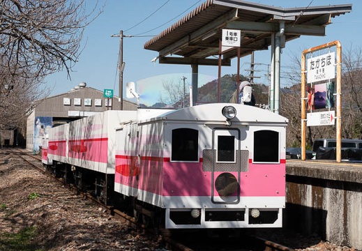 202303031134-DSC09803.jpg