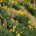 202303051715-DSC00130.jpg