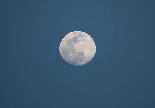 202303051804-DSC00143.jpg