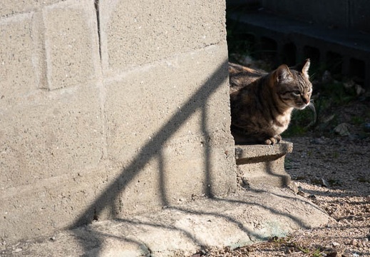 202303060856-DSC00150.jpg
