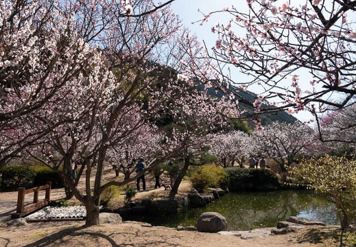 202303061102-DSC00179.jpg