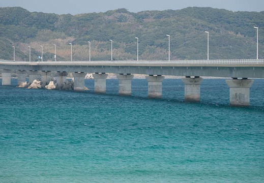 202303070943-DSC00698.jpg