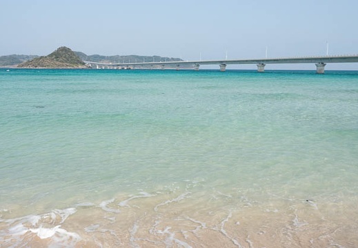 202303070955-DSC00745.jpg