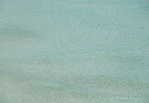 202303071024-DSC00820.jpg