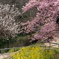 202303081350-DSC01297.jpg