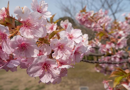 202303081438-DSC01368.jpg