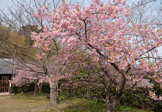202303081440-DSC01387.jpg