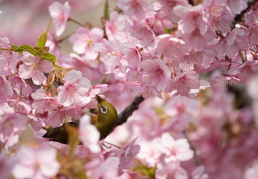 202303081452-DSC01434.jpg