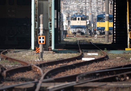 202303111523-DSC02125.jpg