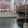 202303121531-DSC01725.jpg