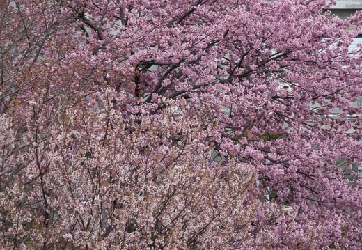 202303121539-DSC01751.jpg