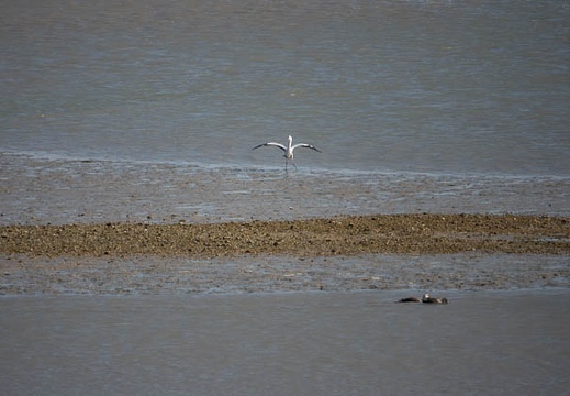 202303131505-DSC02230.jpg