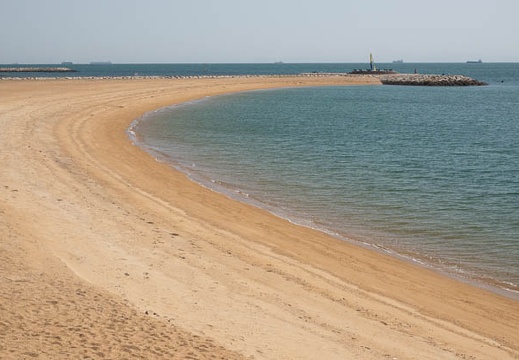 202303141413-DSC02485.jpg