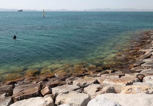 202303141424-DSC02511.jpg