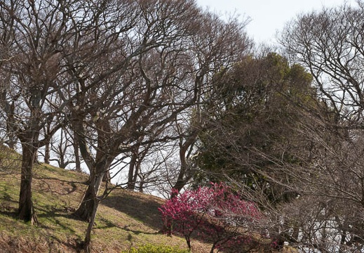 202303141504-DSC02555.jpg