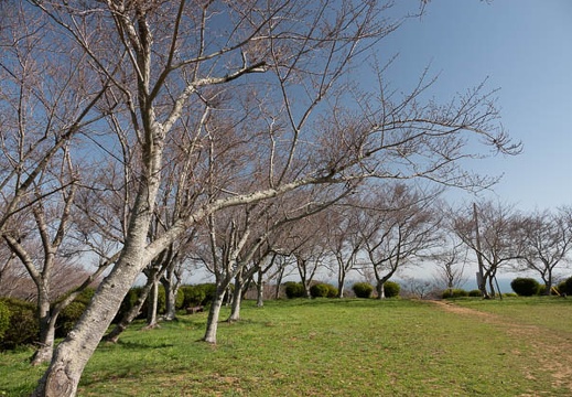 202303141507-DSC02557.jpg