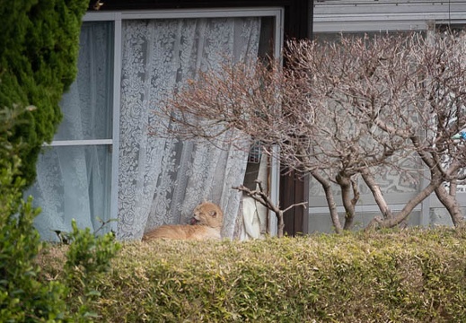 202303161310-DSC03318.jpg