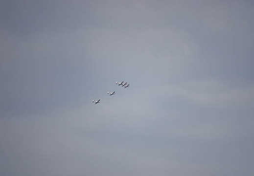 202303161411-DSC03348.jpg