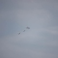 202303161411-DSC03348.jpg