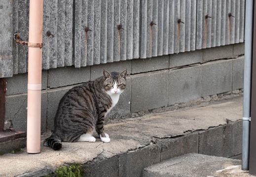 202303161502-DSC03394.jpg