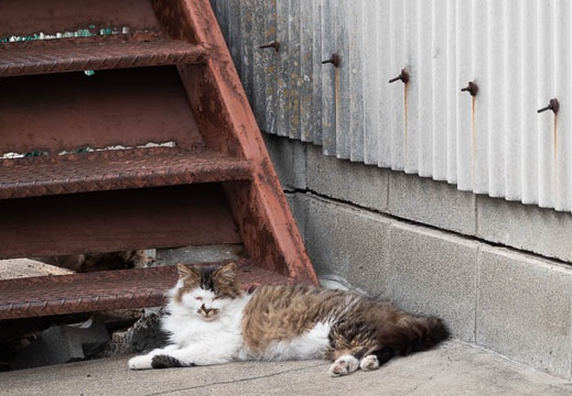 202303161503-DSC03395.jpg