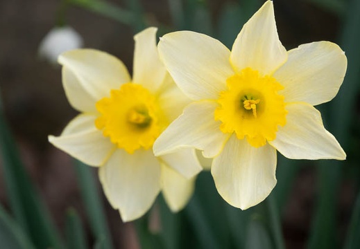 202303161639-DSC03445.jpg