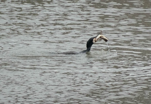202303171601-DSC01809.jpg