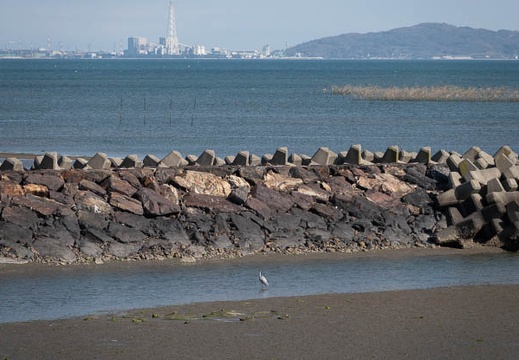 202303181525-DSC03467.jpg