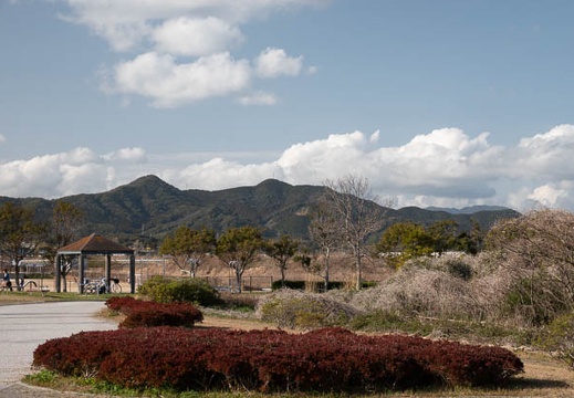 202303181605-DSC03493.jpg