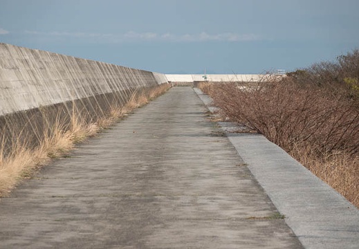 202303181640-DSC03507.jpg