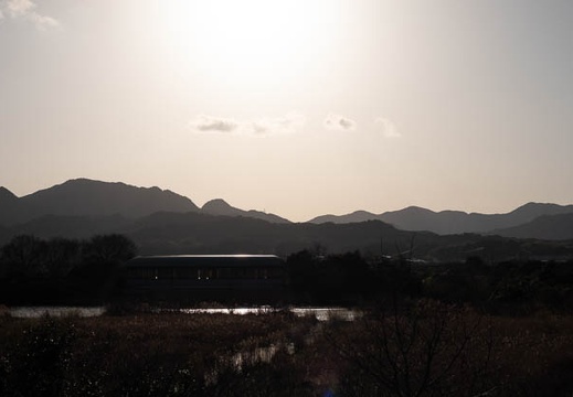 202303181711-DSC03532.jpg