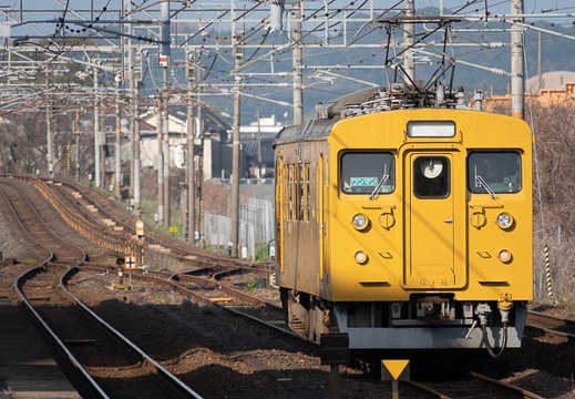 202303220848-DSC03565.jpg