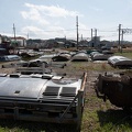 202303221342-DSC03649.jpg