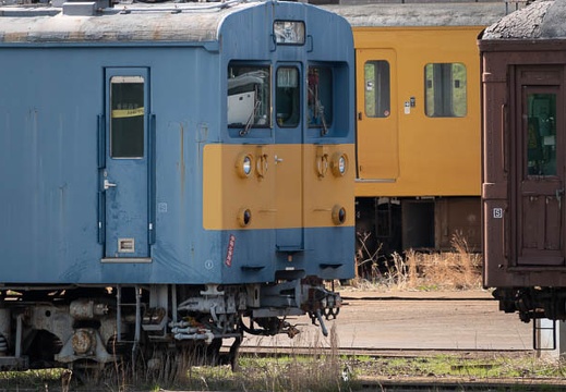 202303221405-DSC03708.jpg