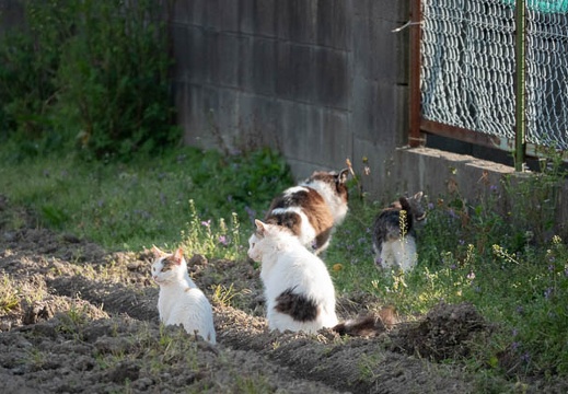 202303221623-DSC03760.jpg