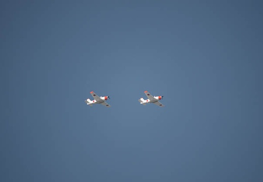202303221640-DSC03779.jpg