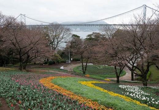 202303231113-DSC03818.jpg